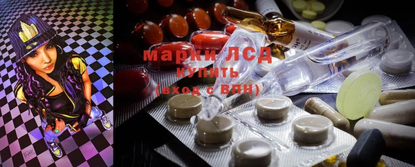 спиды Щигры